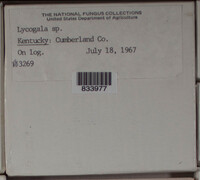 Image Associated With the Occurence